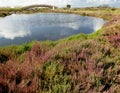 Sardinia, Cabras pond Royalty Free Stock Photo