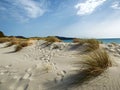 Italy, Sardinia, Carbonia Iglesias, Porto Pino, the dunes beach Royalty Free Stock Photo