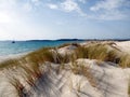 Italy, Sardinia, Carbonia Iglesias, Porto Pino, the dunes beach Royalty Free Stock Photo