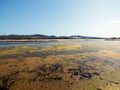 Italy, Sardinia, Carbonia Iglesias, Porto Pino, the pond behind the white sand dunes Royalty Free Stock Photo