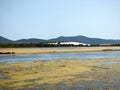 Italy, Sardinia, Carbonia Iglesias, Porto Pino, the pond behind the white sand dunes Royalty Free Stock Photo