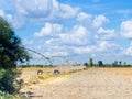 Sardinia country wild. Rain Irrigation system