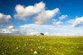 Sardinia, Gerrei Royalty Free Stock Photo