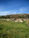 Sardinia. Gonnosfanadiga. Nuragic archeological area of San Cosimo, 2nd millennium b.C.