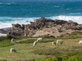 Sardinia. Landscapes Royalty Free Stock Photo