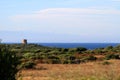 Sardinia rural landscape