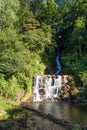 Saree Falls is a picturesque waterfall situated in Knuckles forest reserve, kandy Royalty Free Stock Photo