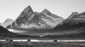 Sarek National Park in Sweden, mountains dominate the scene, their peaks capped with fresh snow. Reindeer grazes peacefully. Royalty Free Stock Photo