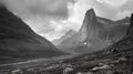 Sarek National Park in Sweden, mountains dominate the scene, their peaks capped with fresh snow. Reindeer grazes peacefully. Royalty Free Stock Photo