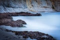 Sargasso algae in a sandy beach in Calep, Alicante, Spain Royalty Free Stock Photo