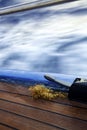 Sargassum on boat deck Royalty Free Stock Photo