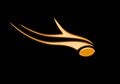 Sari logo