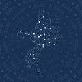 Sark network, constellation style island map. Royalty Free Stock Photo