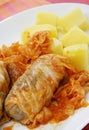 Sarma Royalty Free Stock Photo