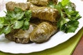 Sarma grape vine leaves, stuffed with rice Royalty Free Stock Photo