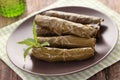 Sarma on a plate Royalty Free Stock Photo