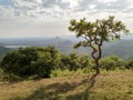 Sarola, aurangabad, maharashtra, day time