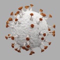 SARS-CoV-2 virus 3D illustration