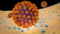 SARS-CoV-2 virus binding to ACE2 receptors on a human cell Royalty Free Stock Photo
