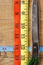 Sartorial meter and scissors Royalty Free Stock Photo