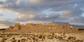 Saryazd Castle, Yazd, Iran Royalty Free Stock Photo