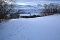 Sarykum barchan in winter and animal tracks Royalty Free Stock Photo