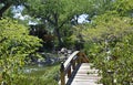 Sasebo Japanese Garden Bridge in Summer Royalty Free Stock Photo