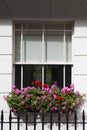 Sash window with window box