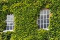 Sash windows Royalty Free Stock Photo