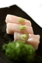 Sashimi on Dish with Scallions