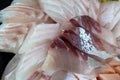 sashimi of rockfish and flatfish Royalty Free Stock Photo