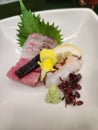 Sashimi sakana wasabi oishii e flower Royalty Free Stock Photo