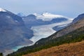 Saskatchewan glacier, brown and gray mountains with forest.