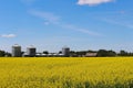 Saskatchewan prairie canola field in bloom