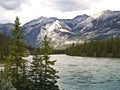 Saskatchewan River banff national park canada Royalty Free Stock Photo