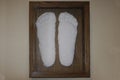 Sasquatch foot prints in plaster