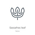 Sassafras leaf icon. Thin linear sassafras leaf outline icon isolated on white background from nature collection. Line vector sign