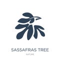 sassafras tree icon in trendy design style. sassafras tree icon isolated on white background. sassafras tree vector icon simple