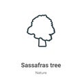 Sassafras tree outline vector icon. Thin line black sassafras tree icon, flat vector simple element illustration from editable