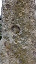 Sassari, Sardinia in Italy, May 18 2023. Detail of the menhir in front of the altar of Monte d'Accoddi.