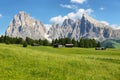 Sassolungo and Sassopiatto mountains from Alpe di Siusi or Seiser Alm, Dolomites Alps , Italy