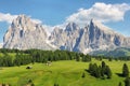 Sassolungo and Sassopiatto mountains from Alpe di Siusi or Seiser Alm, Dolomites Alps , Italy