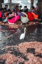 Sassoon Docks fish market in Mumbai