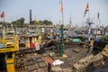 Sassoon Docks in Mumbai, India