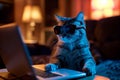 Sassy Feline Dons Shades, Hacks Away On Laptop In Nocturnal Hacker Vibe