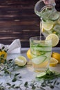 Sassy water in a glass Royalty Free Stock Photo