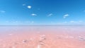 Sasyk lake with pink water, western Crimea. Royalty Free Stock Photo