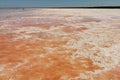 Sasyk lake with pink water, western Crimea. Royalty Free Stock Photo
