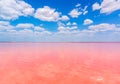 Sasyk lake with pink water, western Crimea Royalty Free Stock Photo