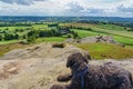 Sat on Almscliffe Crag, a Medium-sized Black Poodle Enjoys the View of Trees and Green Sunlit Fields.